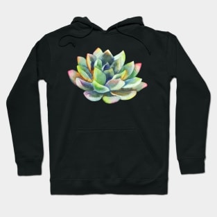 Watercolor, succulent, hand painted, cactus Hoodie